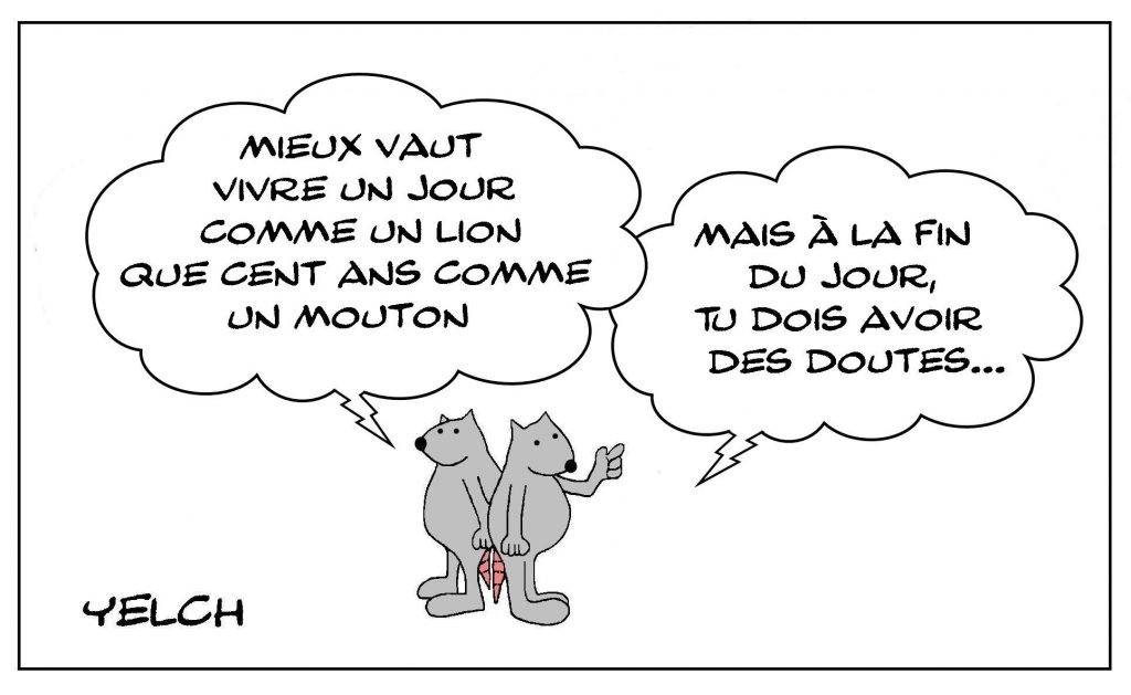 image drôle philosophie dessin humour vie mouton lion