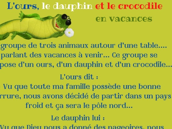 humour, blague France, blague français, blague animaux, blague ours, blague dauphin, blague crocodile, blague grande gueule, blague vacances, blague voyage