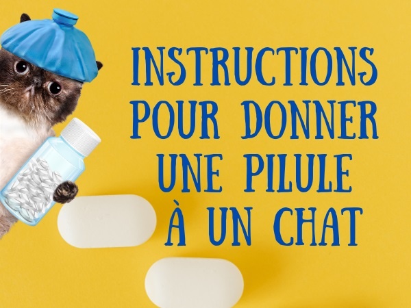 humour, blague sur les chats, blague sur les animaux, blague sur les médicaments, blague sur les pilules, blague sur les instructions, blague sur soigner son chat