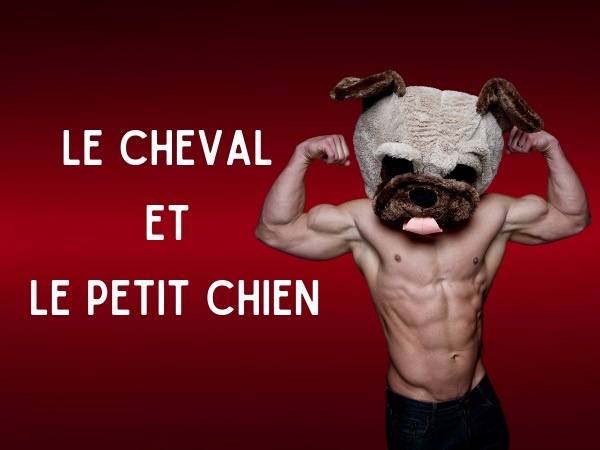 humour, blague sur les animaux, blague sur les chiens, blague sur les chevaux, blague sur le sexe, blague sur la sodomie, blague sur la bite de cheval