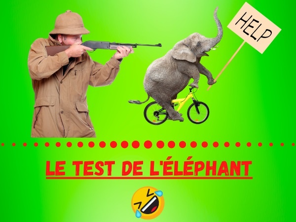 humour, blague recrutement, blague embauche, blague test, blague éléphant, blague chasse à l'éléphant, blague Afrique, blague candidat, blague métier, blague méthode, blague comportement, blague compétences