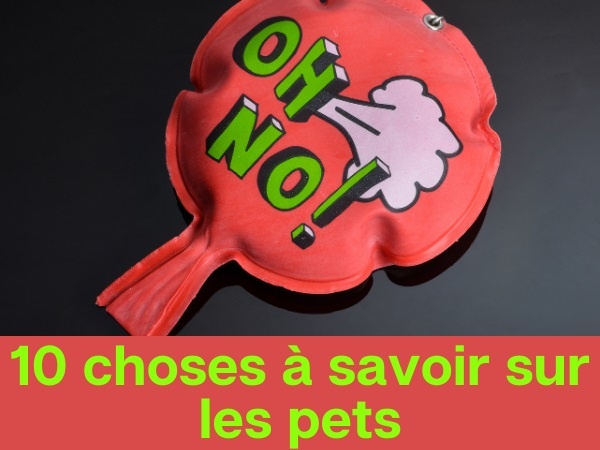 humour, blague pets, blague gaz, blague flatulences, blague odeur, blague puanteur, blague soufre, blague flamme, blague briquet, blague hommes, blague péter, blague science, blague santé