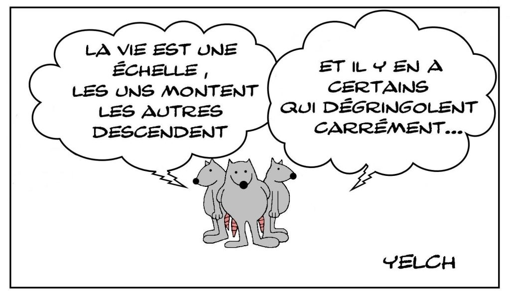 image drôle philosophie pensée dessin humour échelle vie dégringolade