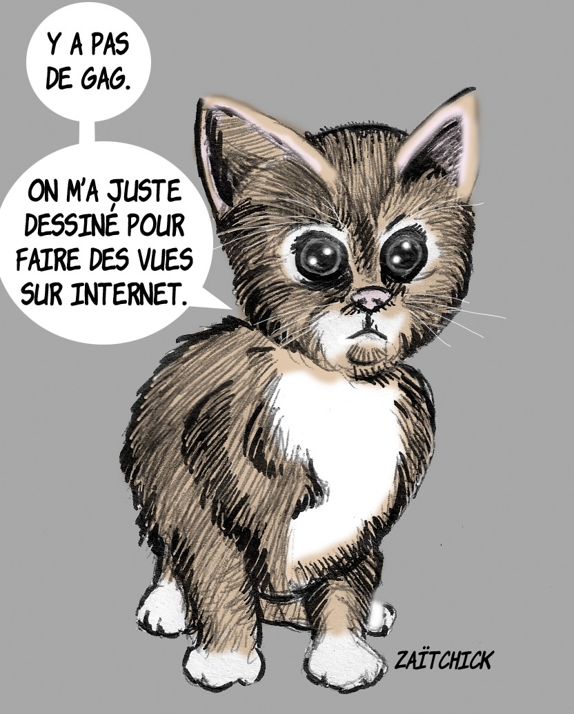 Blague Petit Chat Blagues Et Dessins