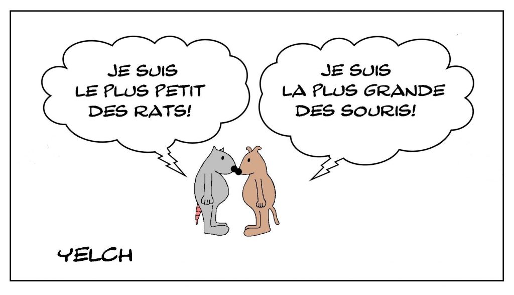 dessins humour rats souris taille image drôle petit rat grande souris