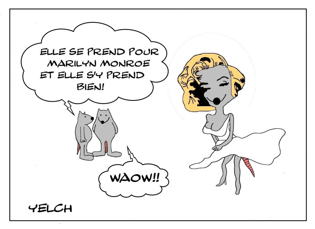 dessins humour Marilyn Monroe image drôle trouble personnalité