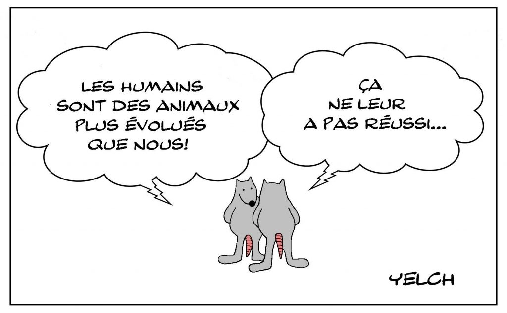 dessins humour êtres humains image drôle animaux évolués