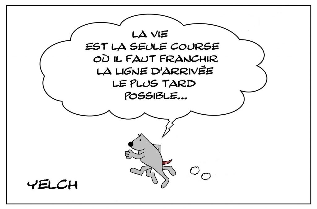 image drôle philosophie pensée dessin humour course vie