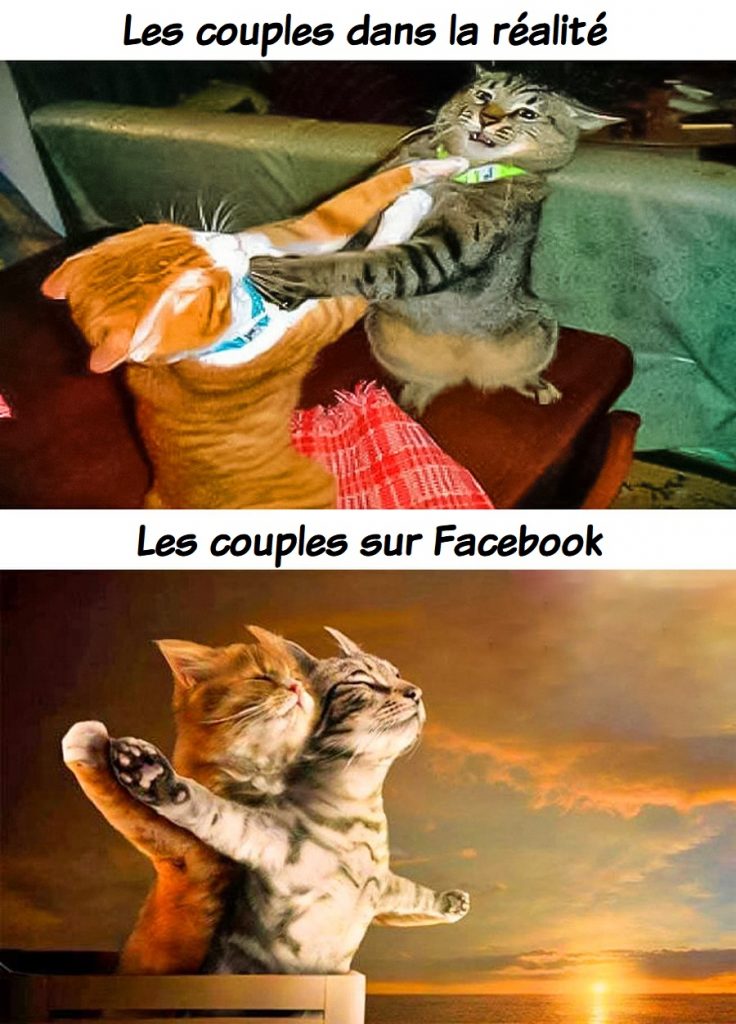 dessin humour chats couples réalité image drôle couples Facebook
