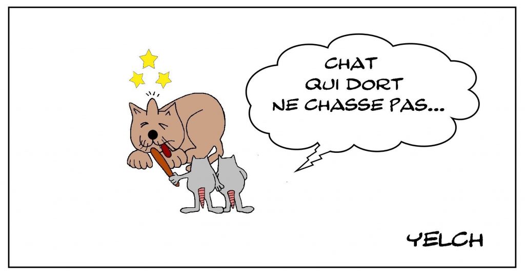 dessins humour proverbe indien drôle chat sommeil chasse