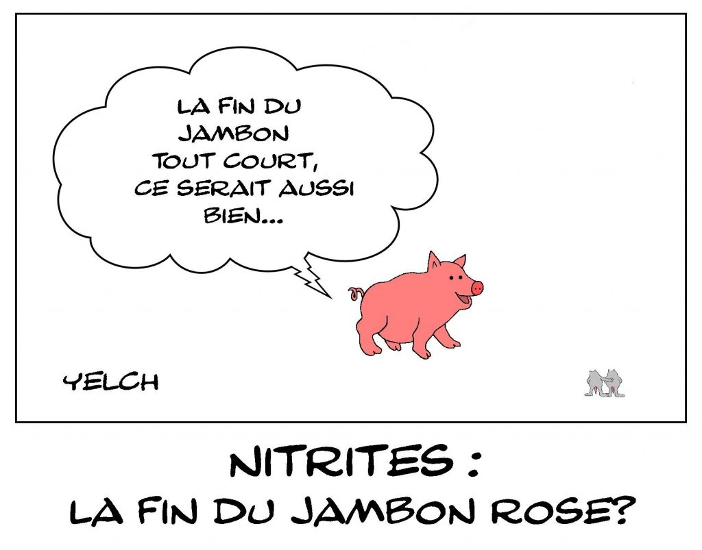 dessins humour nitrites nourriture image drôle jambon rose