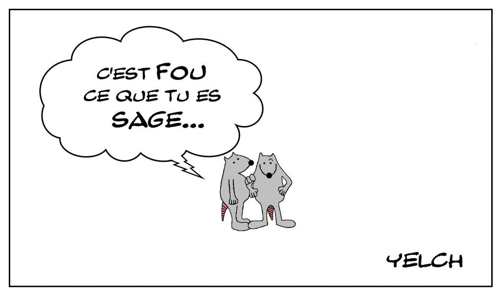 image drôle philosophie pensée dessin humour sagesse folie