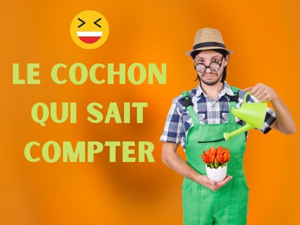 humour, blague paysans, blague fermiers, blague voisins, blague cochon, blague comptage, blague calcul, blague violence, blague coup de pied, humour cochon