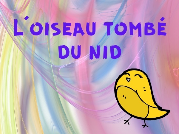 humour, blague oiseaux, blague morale, blague fermiers, blague nids, blague renards, blague merde, blague bouse de vache