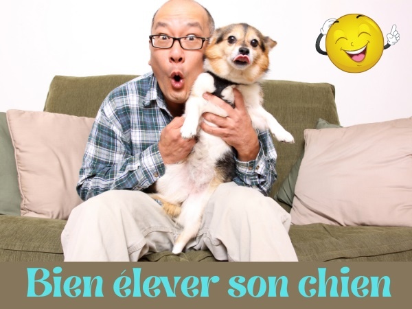 humour, blague élevage, blague dressage, blague chiens, blague animaux, blague règles, blague fauteuil, blague couvertures