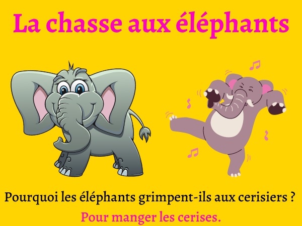 humour, blague animaux, blague éléphants, blague chasse, blague cerises, blague cerisiers, blague couilles, blague couleurs