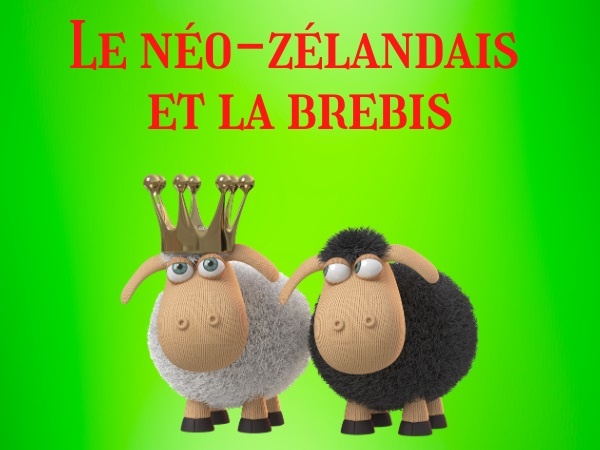 humour, blague néo-zélandais, blague Nouvelle-Zélande, blague zoophiles, blague zoophilie, blague brebis, blague tribunal, blague fellations, blague jurés