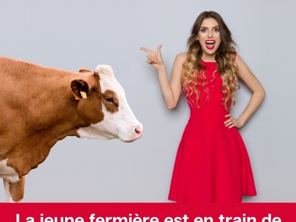 humour, blague sur les corsages, blague sur les enclos, blague sur la traite, blague sur les vaches, blague sur les taureaux, blague sur les belles-mères