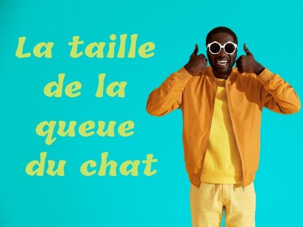 humour, blague sur la taille du sexe, blague sur les trous du cul, blague sur les bites, blague sur les vantardises, blague sur la queue du chat, blague sur les mesures