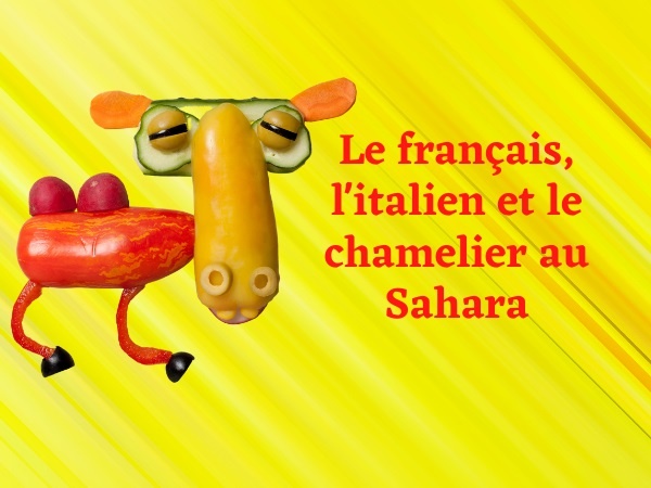 humour, blague sur les chameaux, blague sur le Sahara, blague sur les chameliers, blague sur la zoophilie, blague sur les français, blague sur les italiens