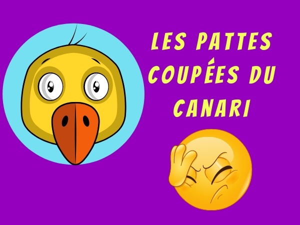 humour, canari, blague sur les canaris, violence, blague sur les violences, perchoir, blague sur les perchoirs, cage, blague sur les cages, patte, blague sur les pattes, scie, blague sur les scies, étau, blague sur les étaux, meurtre, blague sur les meurtres, plume, blague sur les plumes, animalerie, blague sur les animaleries, mort, blague sur la mort, oiseau, blague sur les oiseaux