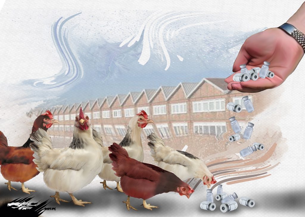 dessin presse humour coronavirus covid-19 image drôle vaccination poules français