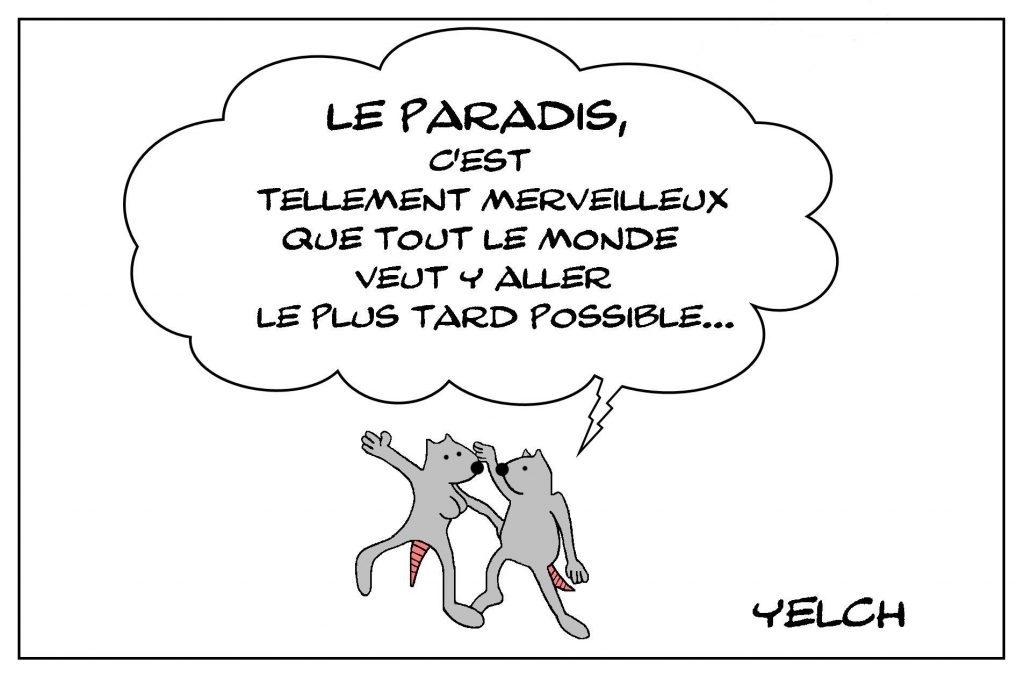 dessins humour merveilleux Paradis image drôle empressement