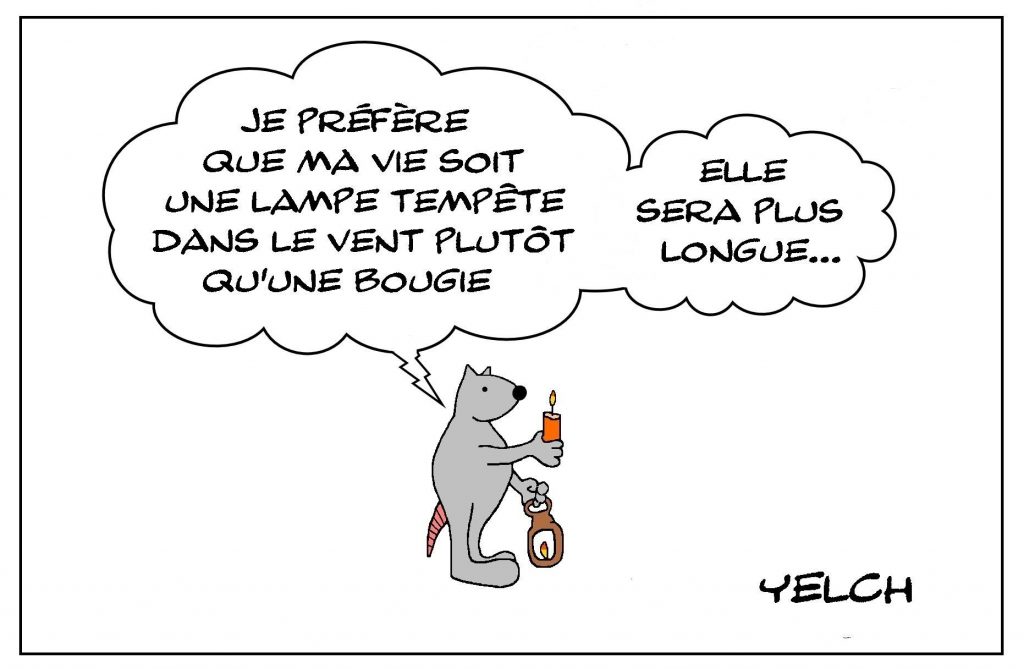 image drôle philosophie pensée dessin humour vie bougie lampe tempête