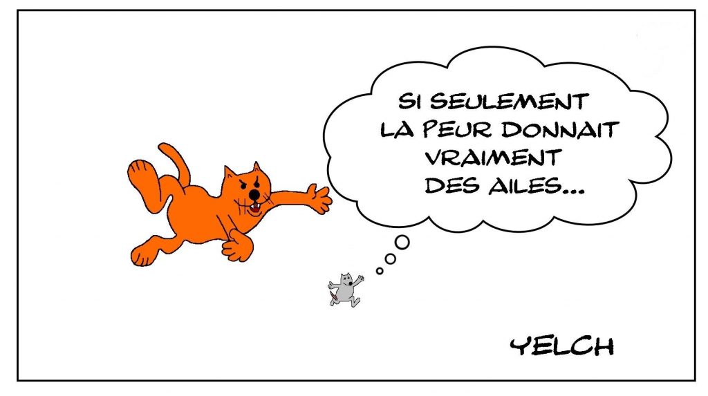 dessins humour chat rat image drôle peur ailes