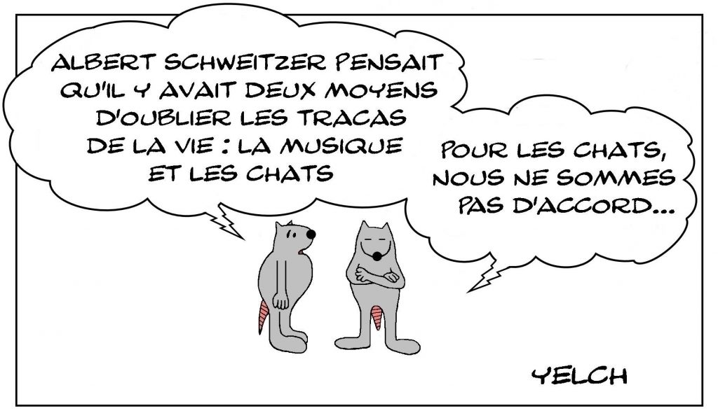 dessins humour Albert Schweitzer tracas image drôle rats chats musique