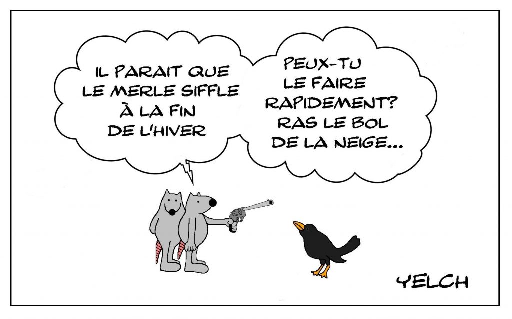 dessins humour sifflement merle image drôle fin hiver neige