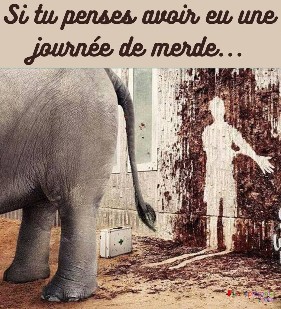 dessin humour éléphant caca image drôle diarrhée