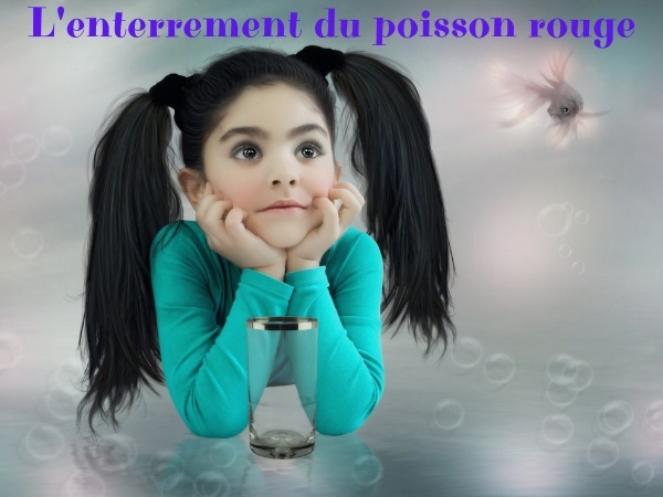 humour, blague poisson rouge, blague enfants, blague enterrement, blague cérémonie, blague chat, blague nourriture