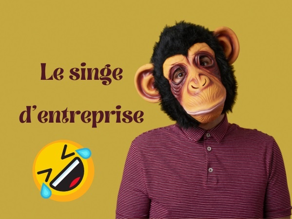 humour, blague sur les singes, blague sur la culture d'entreprise, blague sur les chimpanzés, blague sur les expériences, blague sur l'apprentissage, blague sur la transmission de savoir