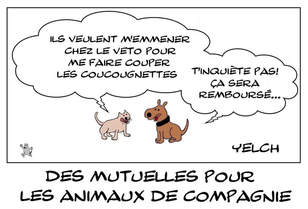 dessins humour animaux compagnie image drôle assurance mutuelle