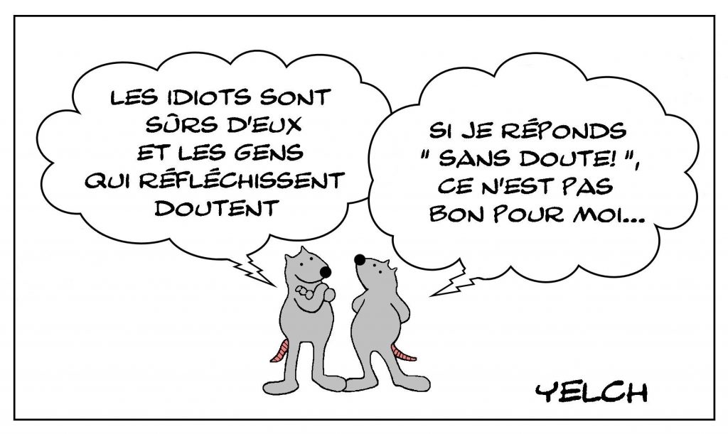 image drôle philosophie pensée dessin humour doute certitude idiotie