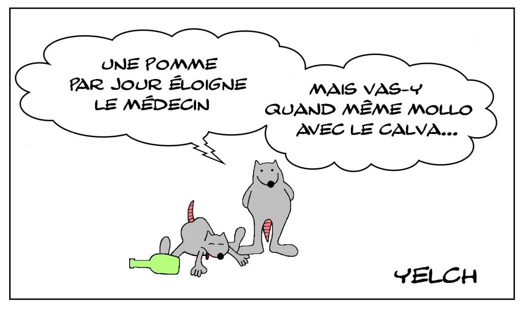 dessins humour proverbe image drôle pomme médecin calva