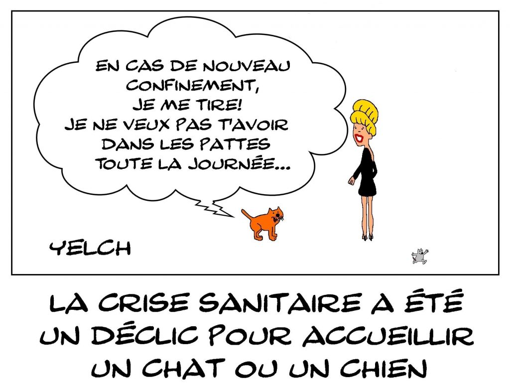 dessins humour coronavirus covid-19 image drôle crise sanitaire adoption animaux