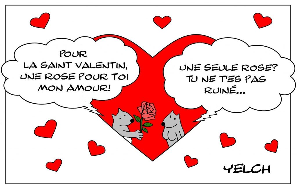 dessins humour saint valentin image drôle fleur rose ruine