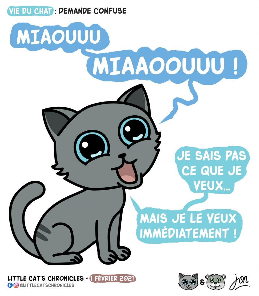 dessin humour little cat blague image drôle chat miaulement