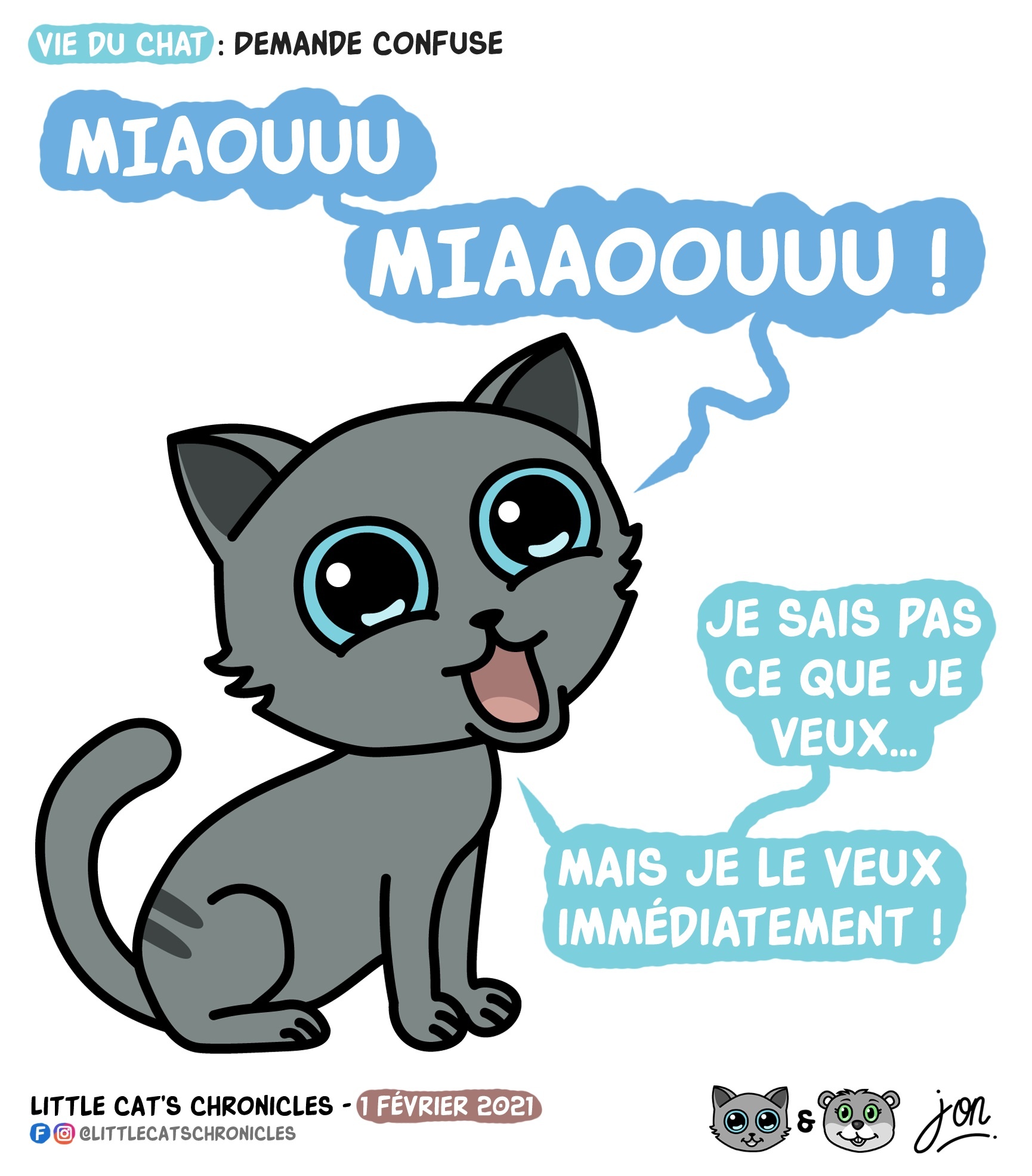 Vie Du Chat Demande Confuse Blagues Et Dessins