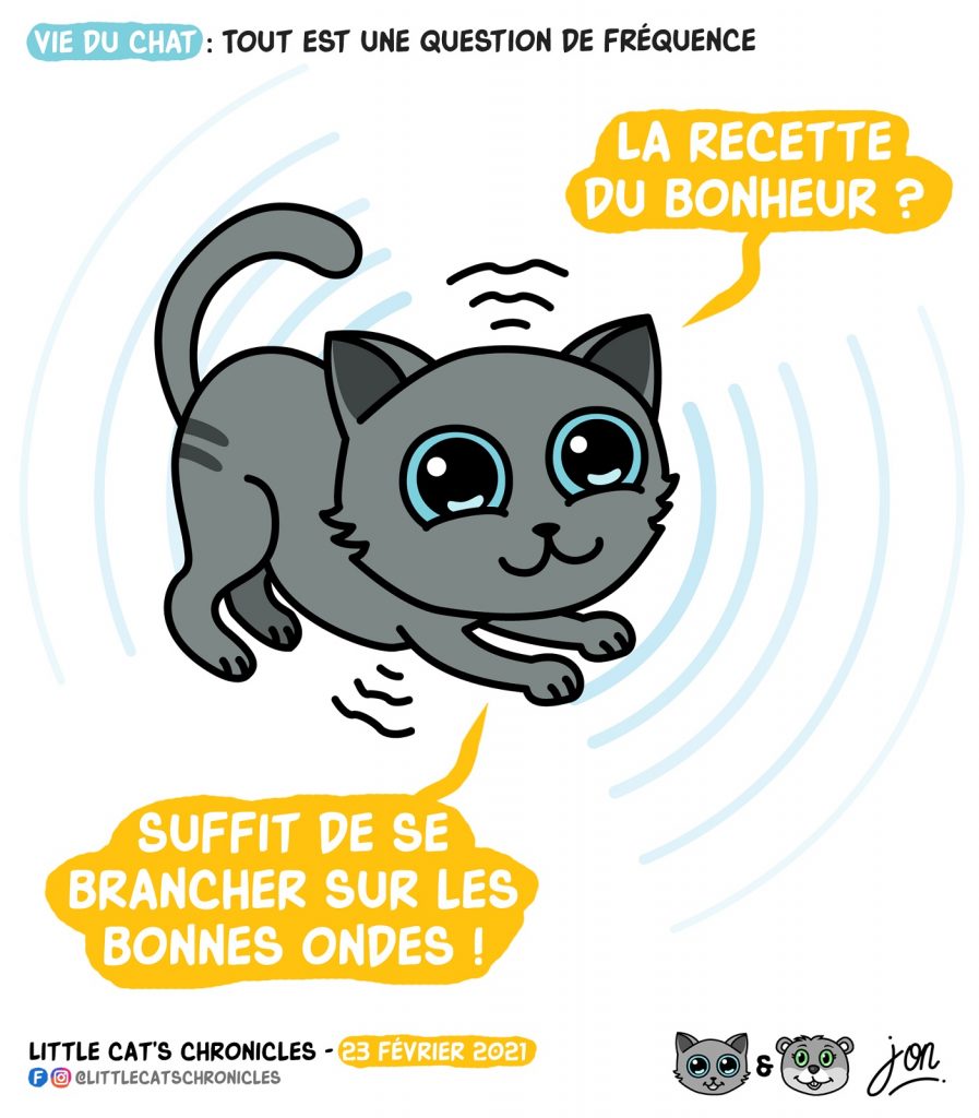 dessin humour little cat blague image drôle chat recette bonheur onde