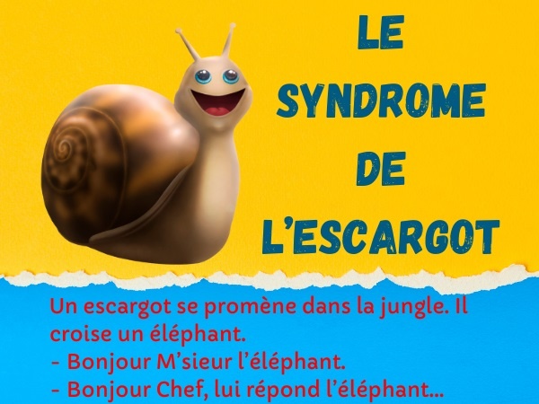 humour, blague hiérarchie, blague animaux, blague jungle, blague escargot, blague chef, blague éléphant