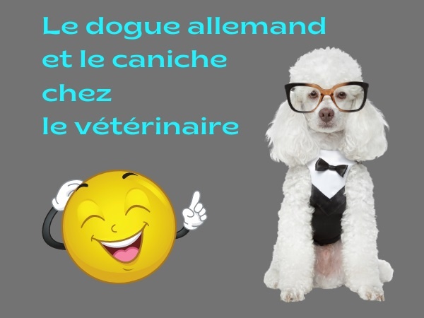 humour, blague animaux, blague chiens, blague dogue, blague caniche, blague zoophilie, blague castration, blague griffes, blague couilles, blague sexualité, humour zoophile