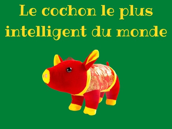 humour, blague paysan, blague cochon, blague fermier, blague porc, blague intelligence, blague sauvetage, blague pattes, blague nourriture, blague incendie, blague accident, humour campagnard