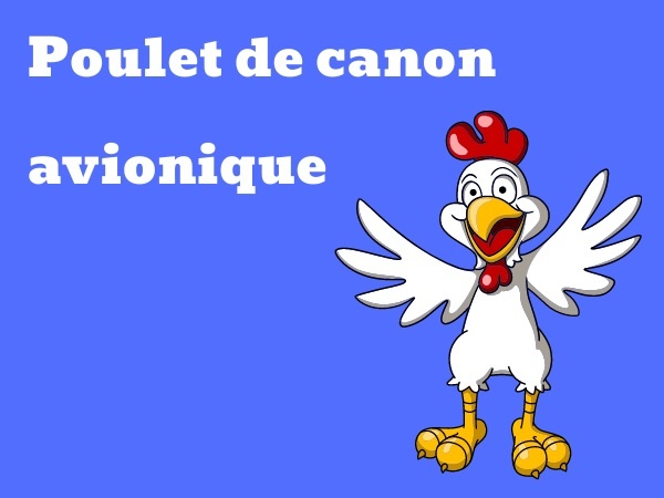 humour, blague FAA, blague aviation, blague avionique, blague test, blague avions, blague collisions, blague oiseaux, blague poulet, blague congélation