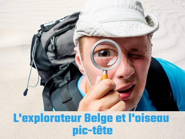 humour, blague sur les explorateurs, blague sur les Belges, blague sur les oiseaux, blague sur la sodomie, blague sur l'oiseau pic-tête, blague sur les bédouins