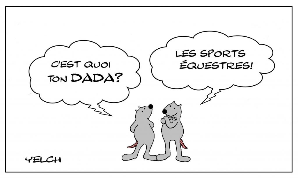 dessins humour dada cheval image drôle sports équestres