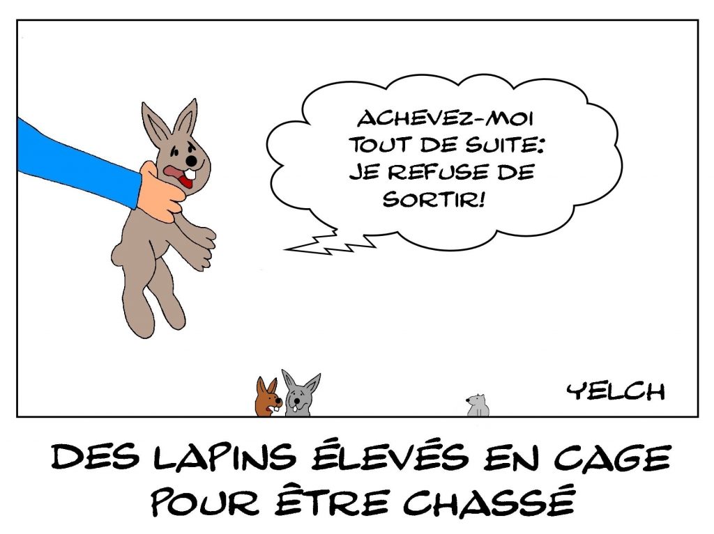 dessins humour chasse élevage image drôle lapins cage