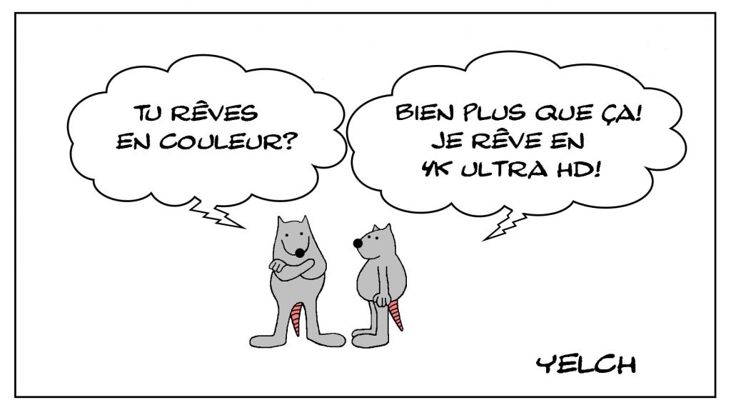 dessins humour rêve couleur image drôle sommeil technologie 4K